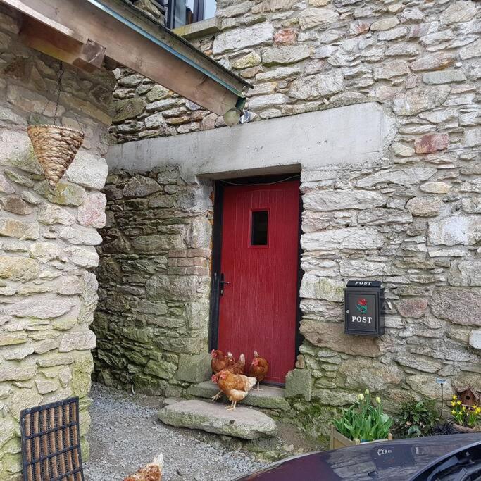 Kingsford Renovated Old Cottage Уэксфорд Экстерьер фото